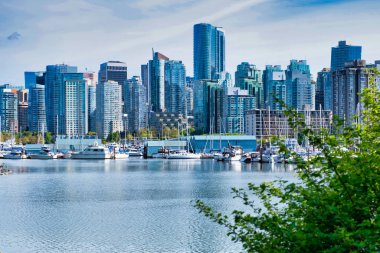 VANCOUVER - MAY 05 2019: Downtown Vancouver, Canada. View of Downtown Vancouver, tree in foreground, from Stanley park