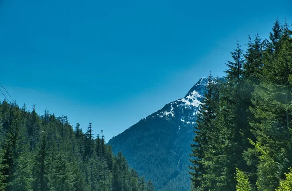 Ruta forestal escénica durante un vibrante día de verano. Tomado de campista, Ucluelet y Tofino, Isla Vancouver, BC, Canadá — Foto de Stock