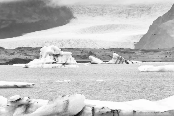 Icebergs floating in the cold water of the Jokulsarlon glacial, black and white vintage. — Stock fotografie