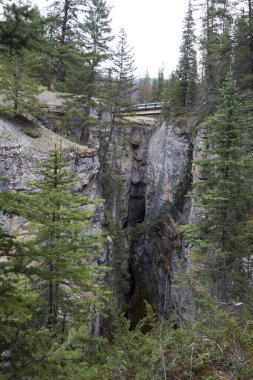 Derin boğaz Maligne kanyonun Jasper Milli Parkı'nda Kanada üzerinden Maligne River akışı