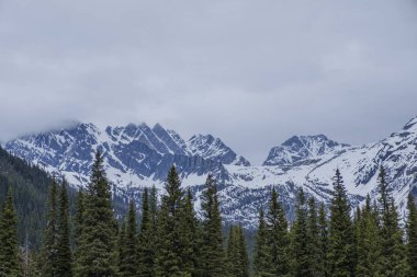 Dağ manzarası Banff ve Jasper Ulusal Parkları Alberta Kanada