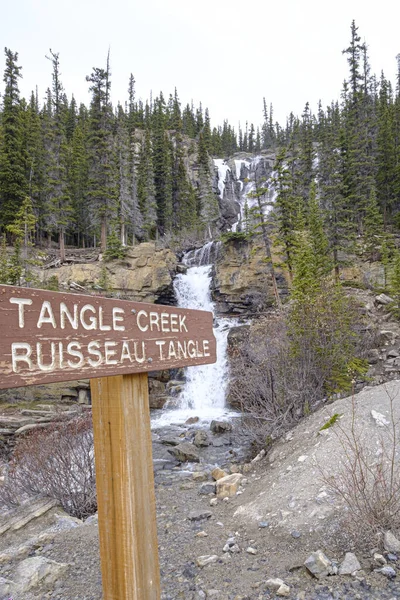 Cascading Tangle Creek Falls en Jasper National Park, Alberta, Canadá — Foto de Stock