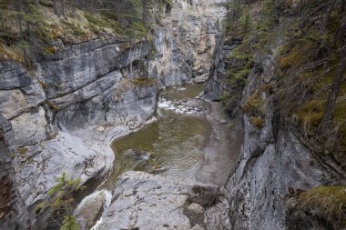 Derin boğaz Maligne kanyonun Jasper Milli Parkı'nda Kanada üzerinden Maligne River akışı