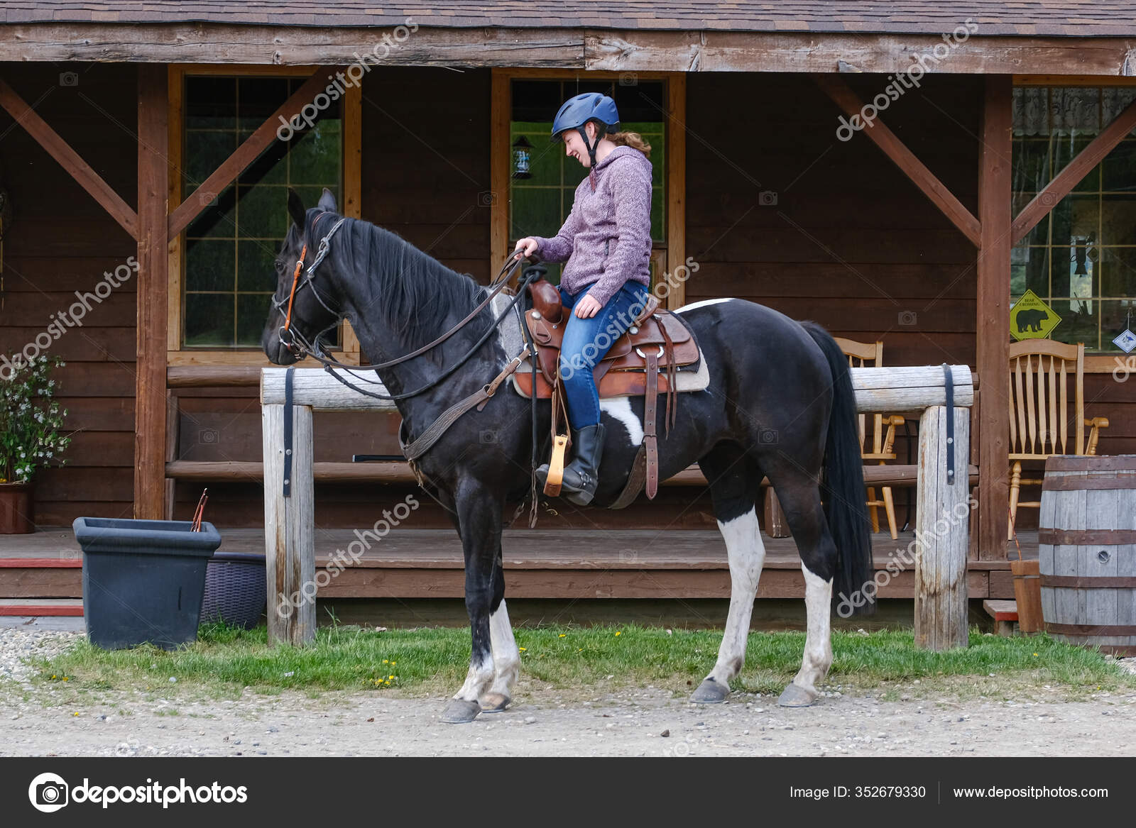 Fotos de Frente de cavalo, Imagens de Frente de cavalo sem royalties