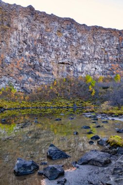 Kuzey İzlanda 'da sonbahar renklerinde Asbyrgi Kanyonu