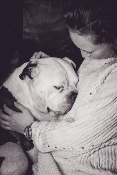 Girl holding Old English Bulldog, bulldog seems in love with the young woman