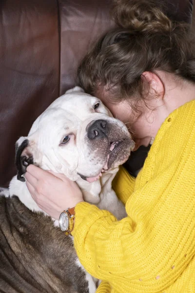 Chica sosteniendo Antiguo Bulldog Inglés, bulldog parece estar enamorado de la joven — Foto de Stock