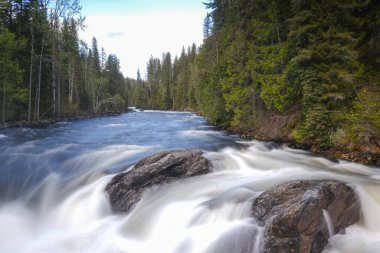 Banff Ulusal Parkı 'nda akan dere, Kanada