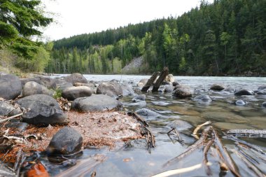 Nehirdeki akıntıların manzarası. British Columbia, Kanada 'dan Wells Gray İl Parkı