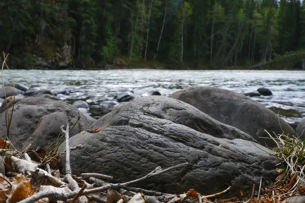 Вид на пороги в реке. Парк Уэллса Грэя в Британской Колумбии, Канада — стоковое фото