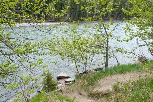 Melihat jeram di sungai. Wells Gray Taman Provinsi British Columbia, Kanada — Stok Foto