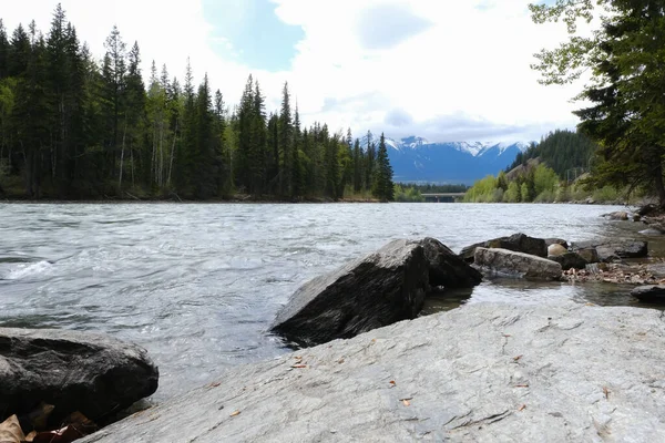 Pohled na peřeje v řece. Wells Gray Provincial Park of British Columbia, Kanada — Stock fotografie
