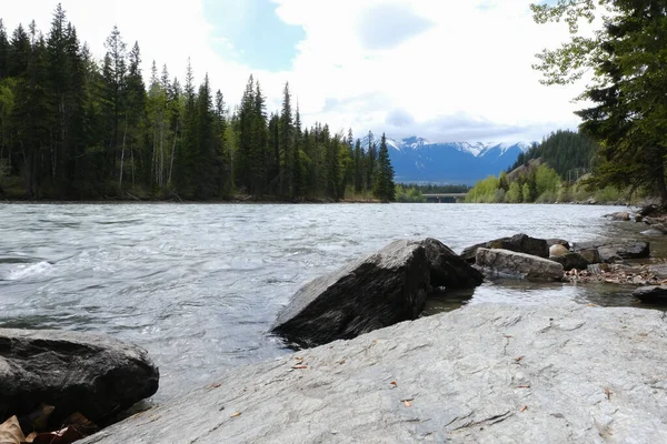 Blick auf die Stromschnellen im Fluss. Wells Gray Provincial Park von British Columbia, Kanada — Stockfoto