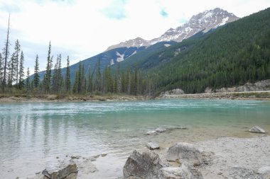Ormanda küçük bir şelale, Revelstoke Dağı bij Revelstoke Dağı
