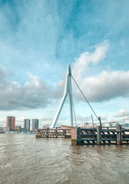 Rotterdam - 12 February 2019: Rotterdam, The Netherlands downtown skyline at dusk in South Holland, Rotterdam,Netherlands. Piles in the water in front — Stok fotoğraf