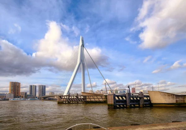 Rotterdam - 12 February 2019: Rotterdam, The Netherlands downtown skyline at dusk in South Holland, Rotterdam, Netherlands. Впереди - сваи в воде — стоковое фото