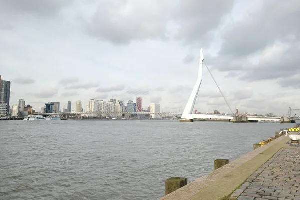 Rotterdam - 12 February 2019: Rotterdam, The Netherlands downtown skyline at dusk in South Holland, Rotterdam,Netherlands. Part of the quay at the front — Stock Photo, Image