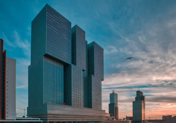 Rotterdam, Nizozemsko 12. února 2019 - Malebný výhled na město, s moderní architekturou a dramatickou oblohou v Rotterdamu u řeky — Stock fotografie