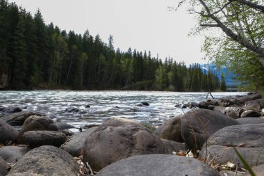Nehirdeki akıntıların manzarası. British Columbia, Kanada 'dan Wells Gray İl Parkı