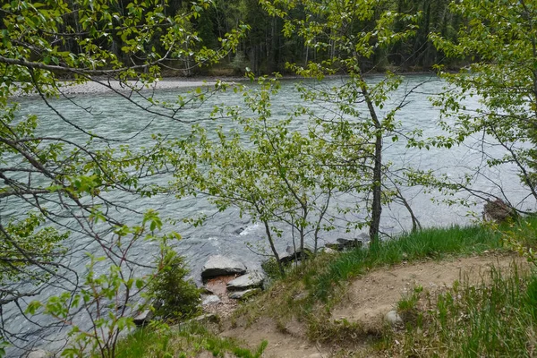 Melihat jeram di sungai. Wells Gray Taman Provinsi British Columbia, Kanada — Stok Foto