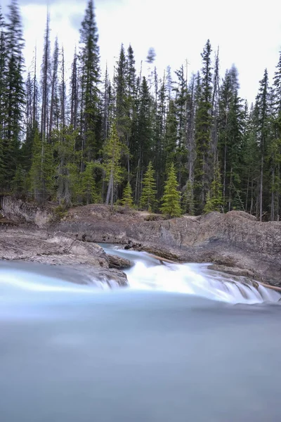 Μικρό καταρράκτη σε ένα δάσος, Mount Revelstoke National Park Bij Revelstoke — Φωτογραφία Αρχείου