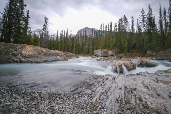 Pequena cachoeira em uma floresta, Parque Nacional Mount Revelstoke bij Revelstoke — Fotografia de Stock