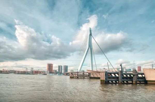 Rotterdam - 12 February 2019: Rotterdam, The Netherlands downtown skyline at dusk in South Holland, Rotterdam,Netherlands. Piles in the water in front — Stock Photo, Image