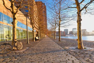 Rotterdam - 14 February 2019: Rotterdam, The Netherlands. One bicycle is parked against a tree, water and buildings in background. At sunrise with sunshine and shadows on buildings, Kop van Zuid
