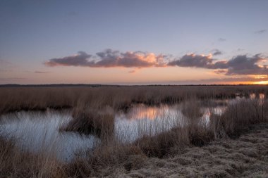 Manzara manzarası gün batımı, su yansıması, turba toprağı ile geniş doğa rezervi, Fochteloerveen, Hollanda