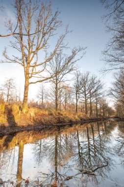 Siluetler manzara manzarası günbatımı yansıması, geniş bir doğa rezervinde bir kanal, Fochteloerveen, Hollanda