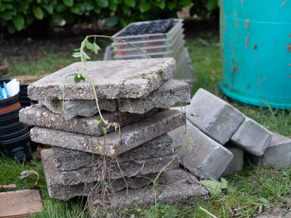 Empty and clean the greenhouse in the spring. Plastic grow boxes and sidewalk tiles — Stock Photo, Image