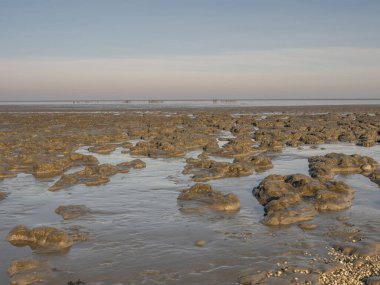 Hollanda 'nın Friesland eyaletindeki Waddensea bölgesindeki ulusal park ve Unesco Dünya mirası alanının ön planında çamur yığınları bulunan deniz ötesi ufuk manzarası