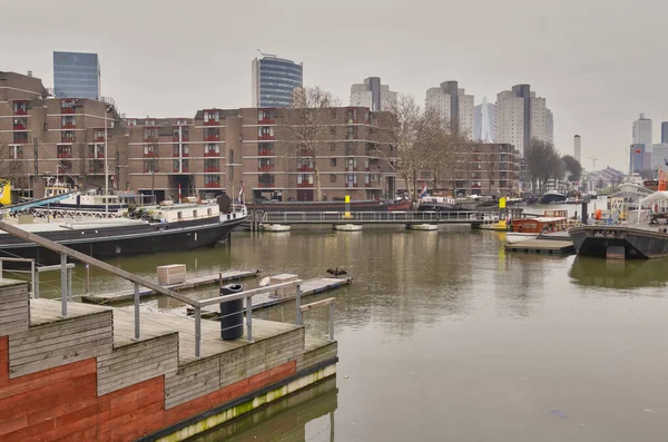 Rotterdam - 13 Şubat 2019: Rotterdam, Hollanda. Rotterdam şehir merkezindeki Leuvehaven limanının manzarası. Güney Erasmus Köprüsü yakınlarında Rotterdam 'ın merkezinde yer almaktadır. — Stok fotoğraf