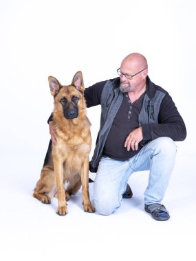 Bir Alman çoban köpeği portresi, 3 yaşında, tam vücut, beyaz arka plan önünde, gururlu sahip bir dizinin üzerinde oturuyor, kolları köpeklerin boynuna dolanmış, kopyalama alanı.