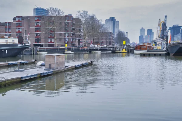Rotterdam - 13 Şubat 2019: Rotterdam, Hollanda. Rotterdam şehir merkezindeki Leuvehaven limanının manzarası. Güney Erasmus Köprüsü yakınlarında Rotterdam 'ın merkezinde yer almaktadır. — Stok fotoğraf