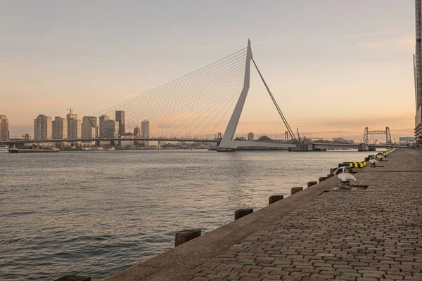 Rotterdam - 2019. február 14.: Rotterdam, Hollandia belvárosa alkonyatkor Dél-Hollandiában, Rotterdamban. Erasmus híd a jobb oldalon — Stock Fotó
