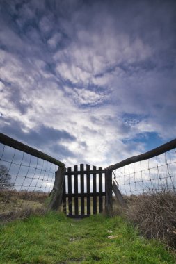 Geniş açılı mercek görüntüsü, sol ve sağ örgülü bir kapı. etkileyici havayla.