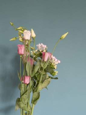 Taze pembe çiçekler, yeşil duvarın önünde. Kopyalama alanı ve gölge ile görüntüle.