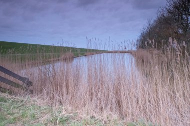 Gün batımında WIerum yakınlarında nehir, ön planda çit ve çimenler, bahar koşullarında