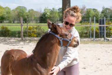 Genç bir tay ve genç bir kadın, zevkle sarılıyorlar, dışarıda, güneşin altında..