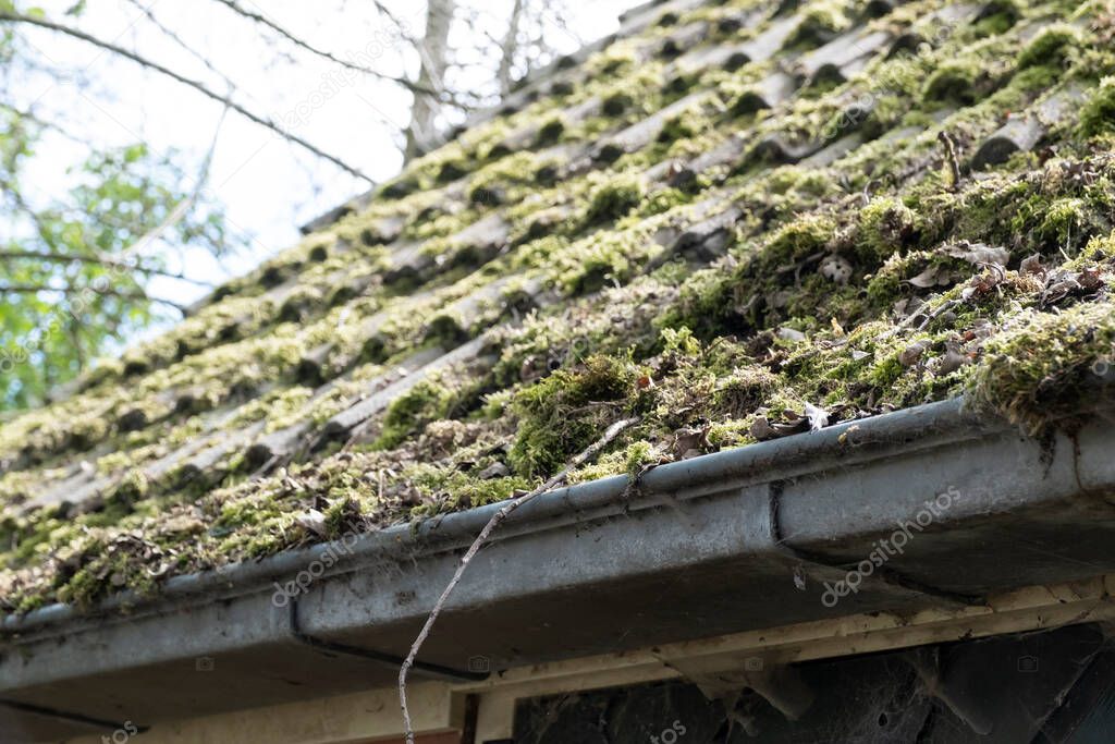 Dirty roof with dense moss and gutter with leaves and moss, requiring cleaning.