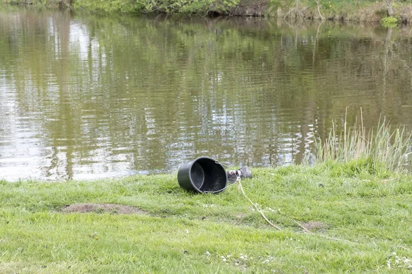 A black bucket on a rope with carelessly thrown shoes in the back near the water, fish equipment.