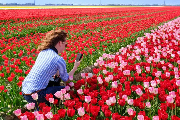 Jeune femme prend des photos avec téléphone intelligent dans le champ de tulipes rouge et rose coloré, caméra système autour de son cou — Photo
