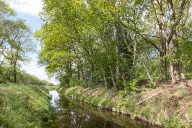 Dalgalı gökyüzü, beyaz bulutlar ve suya yansıyan ağaçlarla sakin bir göl manzarası..