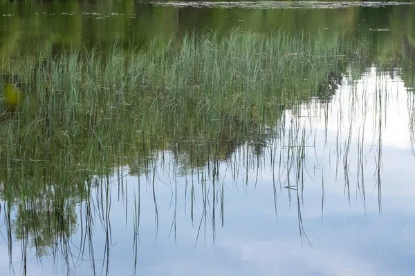 Paesaggio Tranquillo Lago Con Cielo Vibrante Nuvole Bianche Gli Alberi — Foto Stock