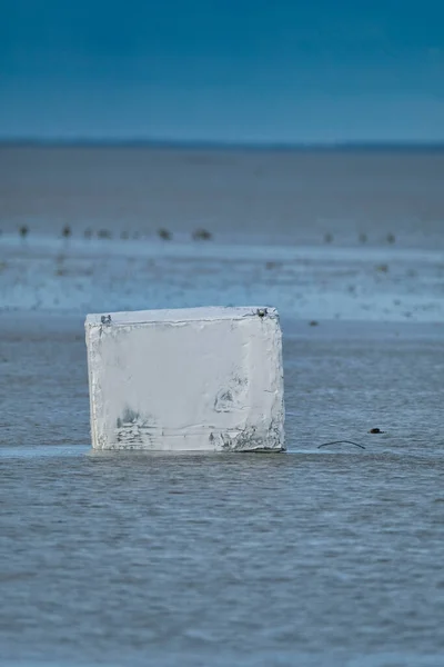 Ein Containerschiff Hat Vor Der Küste Frieslands Den Niederlanden Eine — Stockfoto