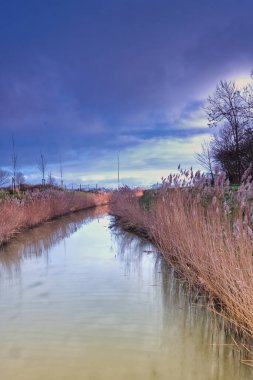 Hollanda 'da bir nehir, çimenler ve dramatik bir gökyüzü olan manzara, sudaki yansıma. Arkadaki ağaçlar. uzun pozlama.