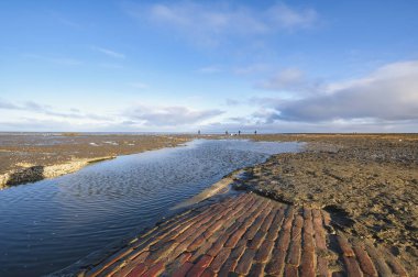Uzaktaki birkaç kişi sahildeki bir konteynır gemisinin bıraktığı pisliği temizliyor. Gemi denizde bir kargo kaybetti. Her yerde beyaz köpük topları var. Friesland, Hollanda. Unesco Dünya Mirası.