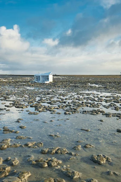 A container ship has lost a cargo at sea, off the coast of Friesland, the Netherlands. A freezer has washed ashore. Everywhere white balls of styrofoam, environmental pollution. Ecological problem. Unesco world heritage.