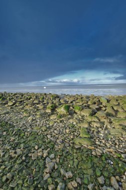 Hollanda, Friesland açıklarında bir konteynır gemisi denizde bir kargo kaybetti. Denizde yüzen bir dondurucu, çevresel kirlilik, ön planda kayalar. Unesco Dünya Mirası.